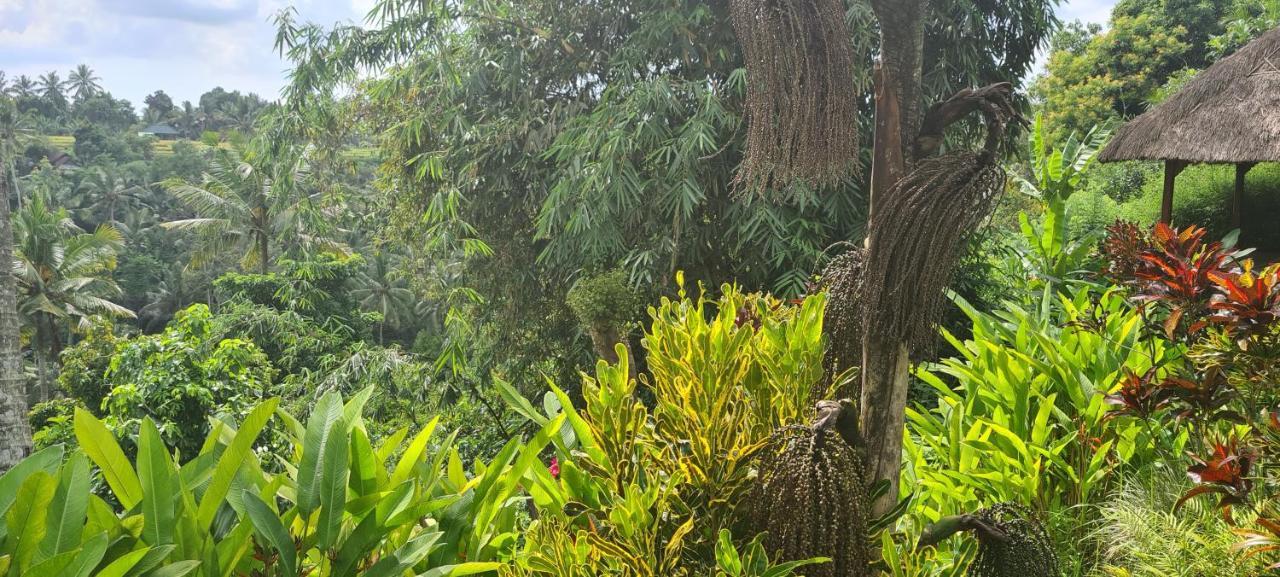 אובוד Rumah Sungai Villa מראה חיצוני תמונה