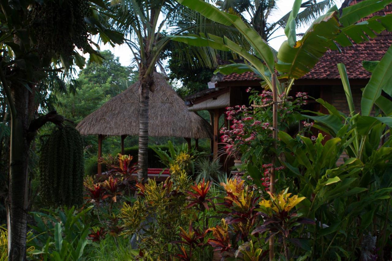 אובוד Rumah Sungai Villa מראה חיצוני תמונה
