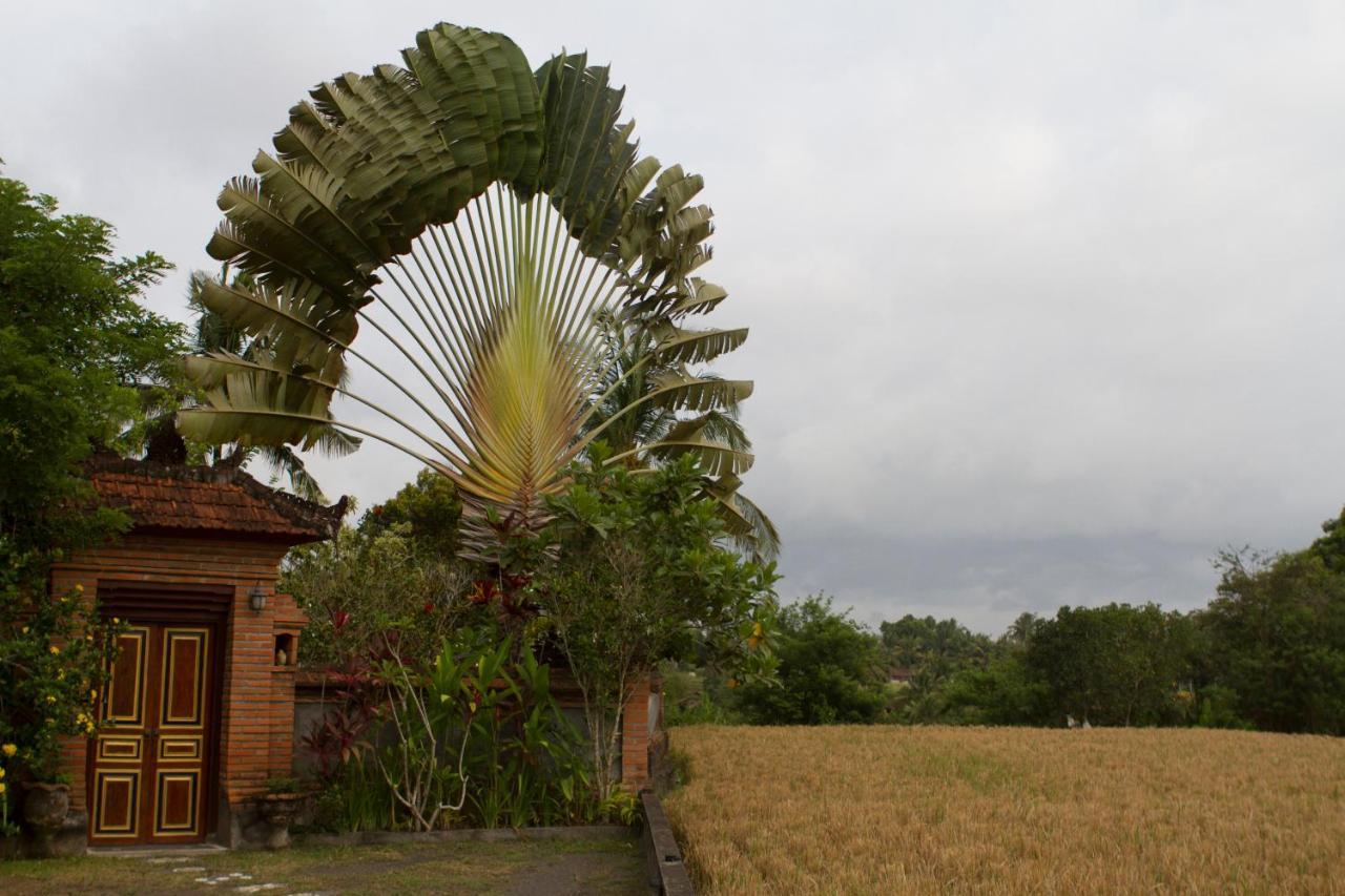 אובוד Rumah Sungai Villa מראה חיצוני תמונה