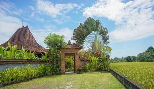 אובוד Rumah Sungai Villa מראה חיצוני תמונה