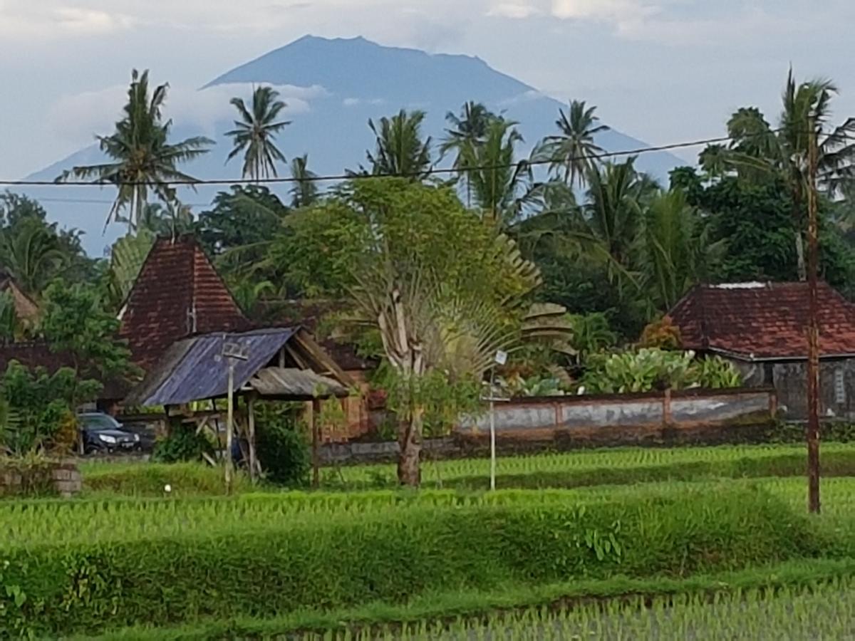 אובוד Rumah Sungai Villa מראה חיצוני תמונה