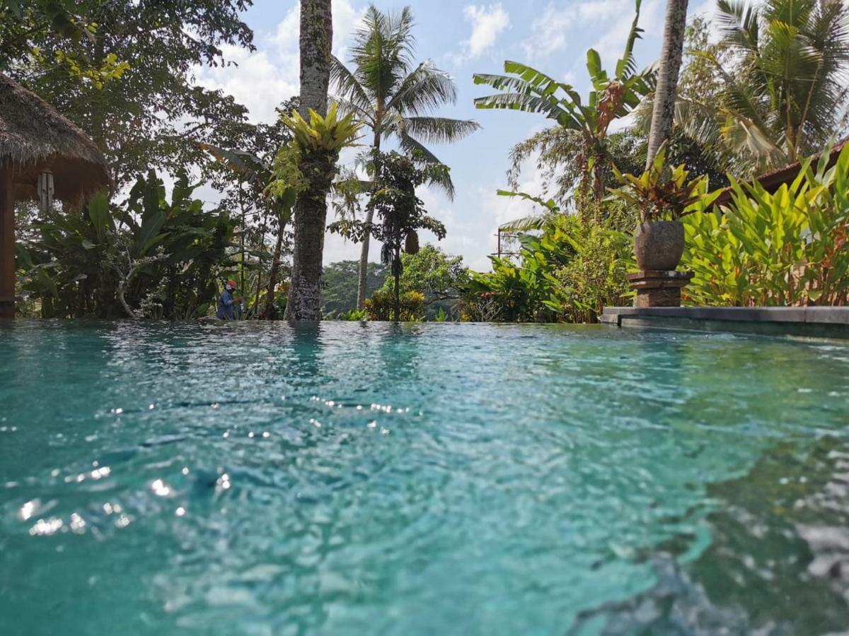 אובוד Rumah Sungai Villa מראה חיצוני תמונה
